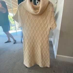 Marino wool banana republic sweater dress